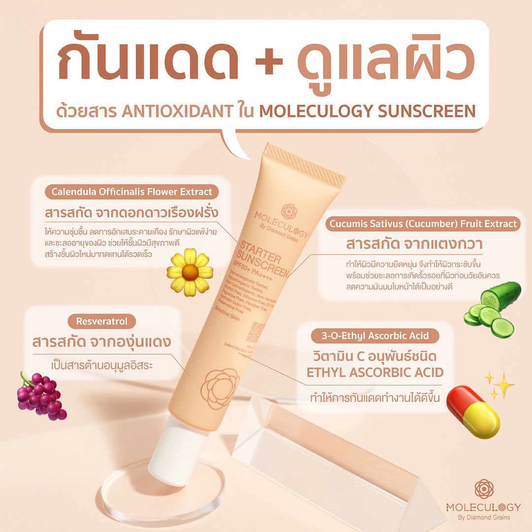 MOLECULOGY STARTER SUNSCREEN SPF50+ PA++++ 30g