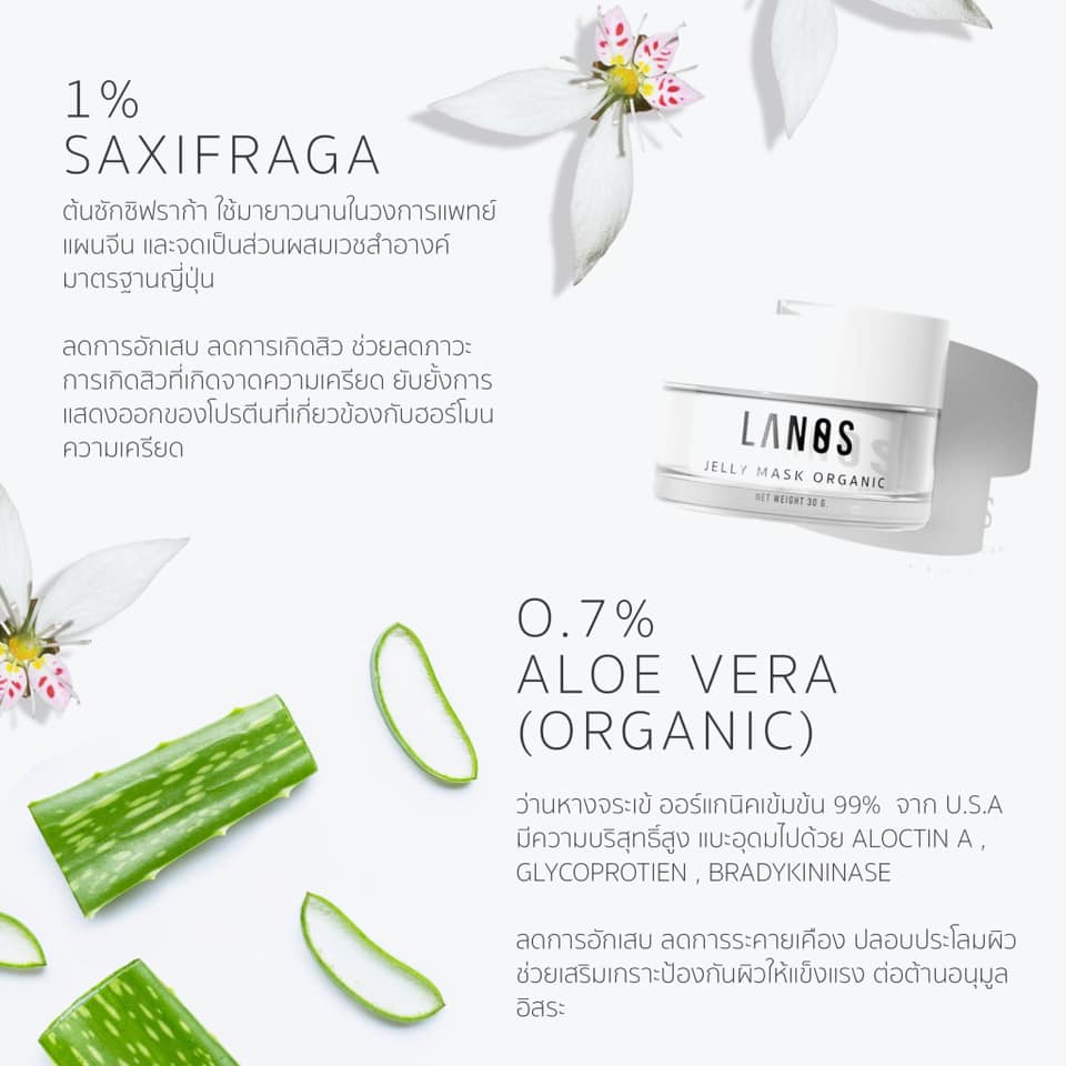 LANOS JELLY MASK UP 30g