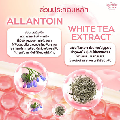 Tomato Revitalizing Gel 50g