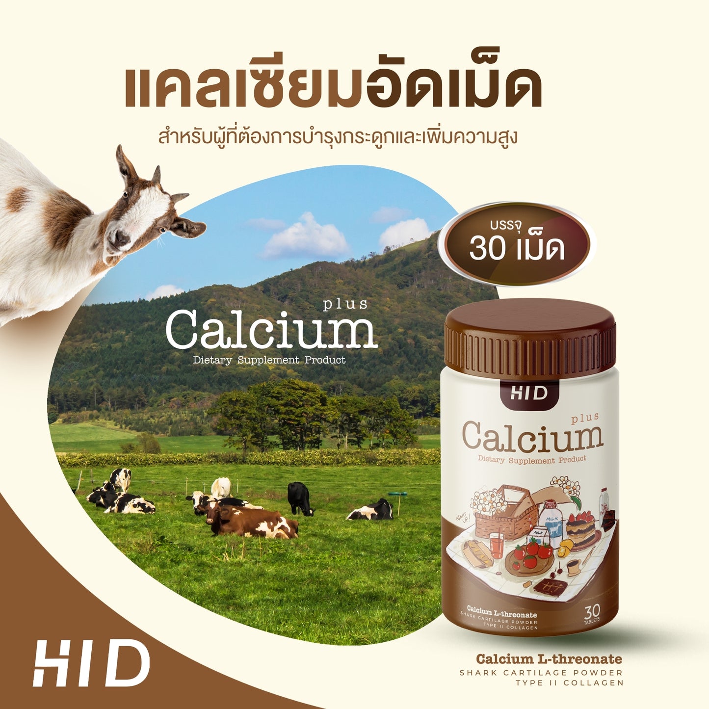 HI-D CALCIUM CHEW PLUS +