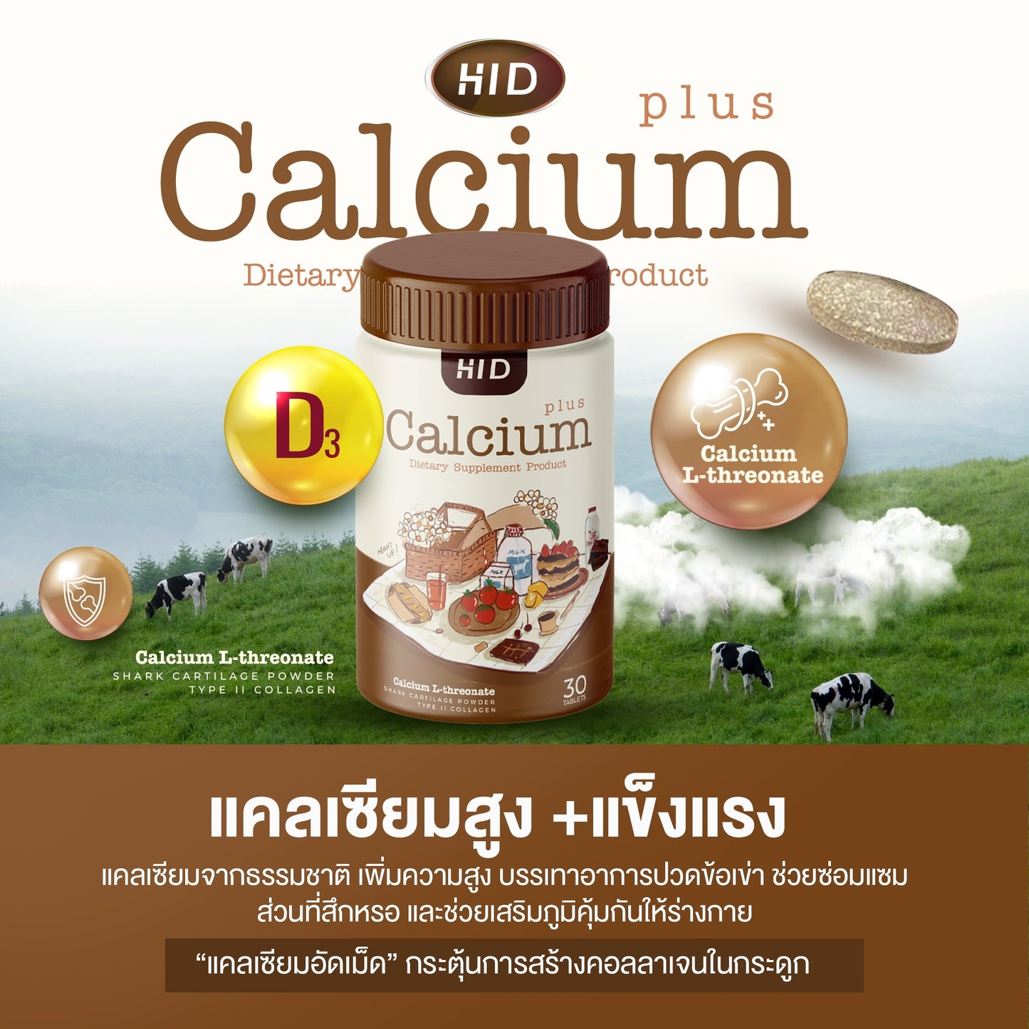 HI-D CALCIUM CHEW PLUS +