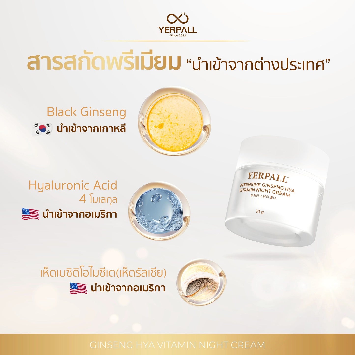 YERPALL GINSENG HYAINTENSIVE 10g