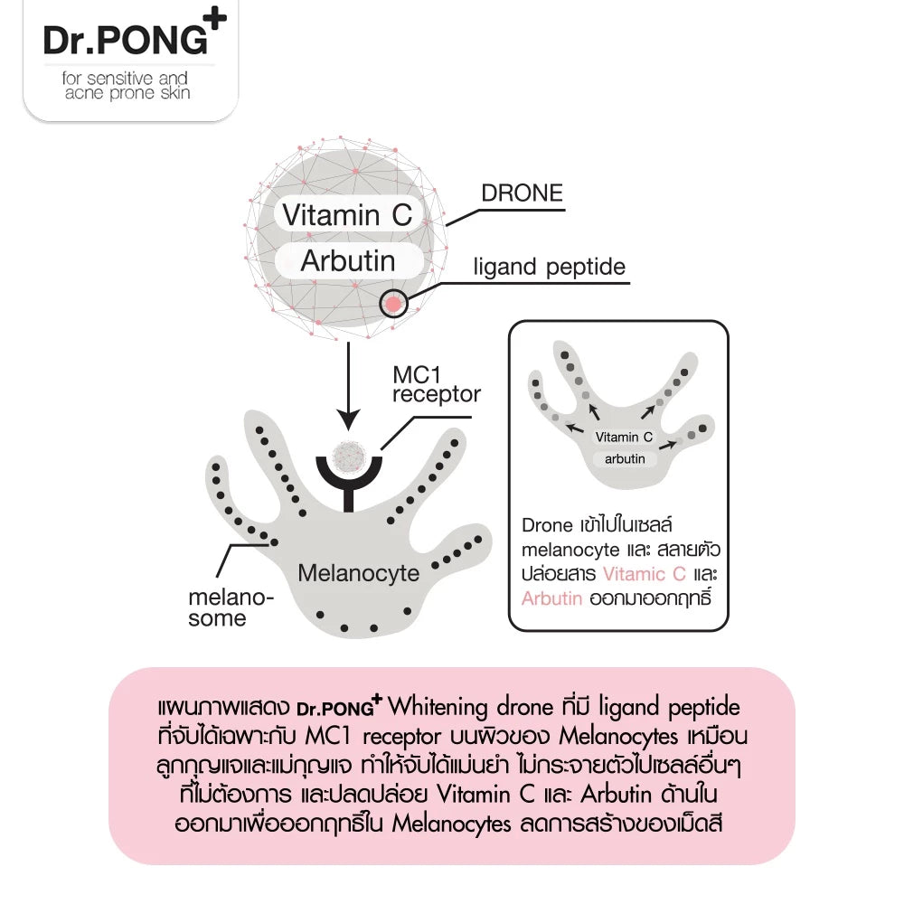 Dr.PONG 28D whitening drone body serum Niacinamide+ Vit C +Arbutin