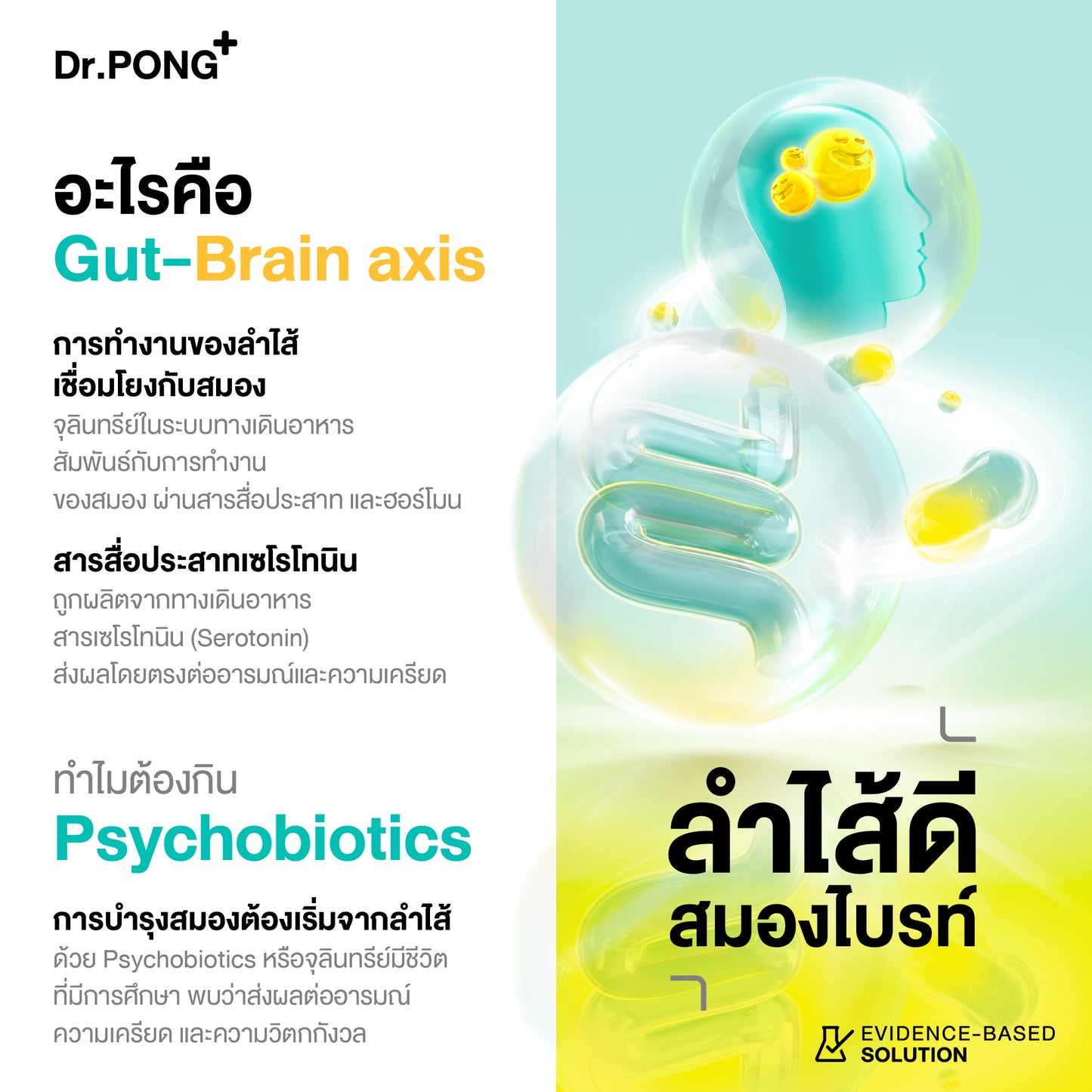 Dr.PONG Harmony Probiotic 10 Sachets