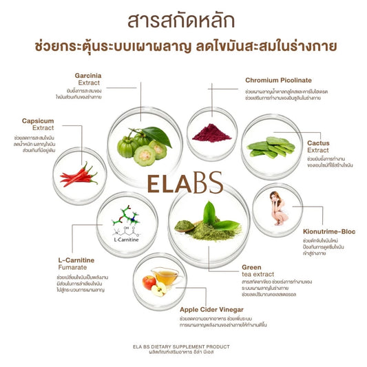 [Set 2 Months] ELA BS & DS